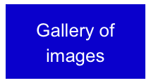 Gallery of images